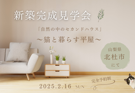 新着情報