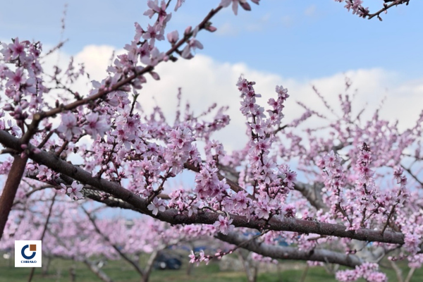地場工務店スタッフブログ